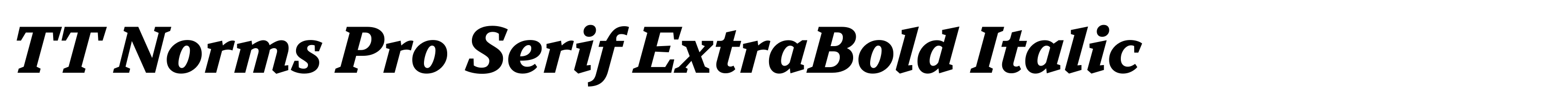 TT Norms Pro Serif ExtraBold Italic